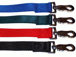 Laisse nylon pour chien 120 cm x 25 mm (noir,rouge,bleu,vert clair)